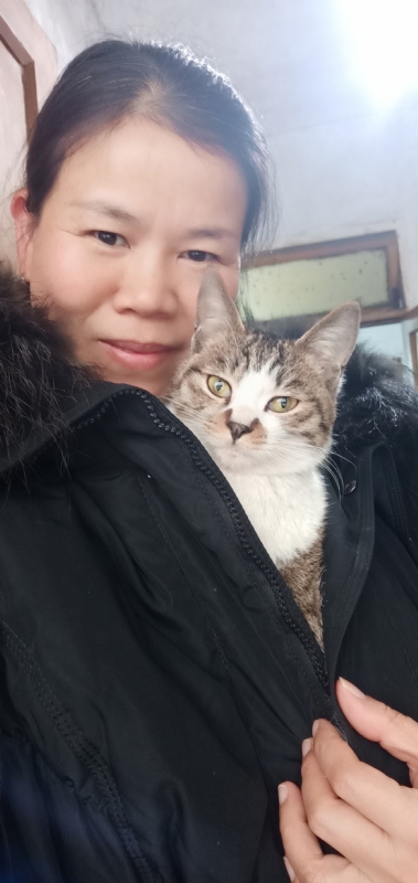 紫竹调的第一张照片--台湾父母相亲团