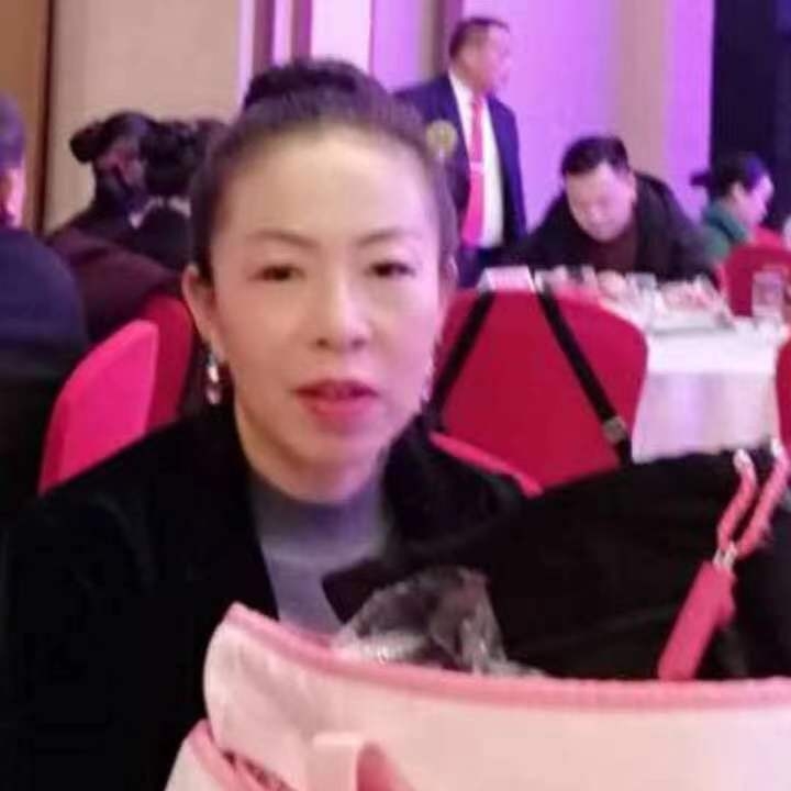 中秋桂花玉兔的第四张照片--台湾父母相亲团